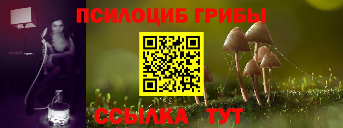 Галлюциногенные грибы ЛСД Трёхгорный